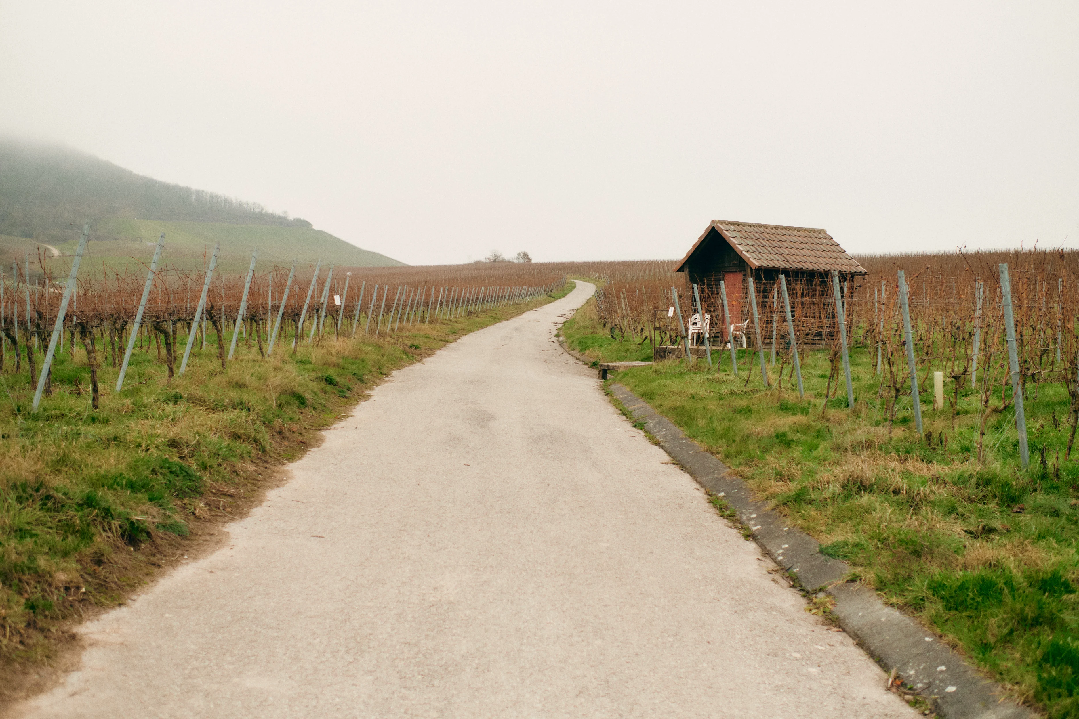 A KIND OF WINE 05 - Image 7
