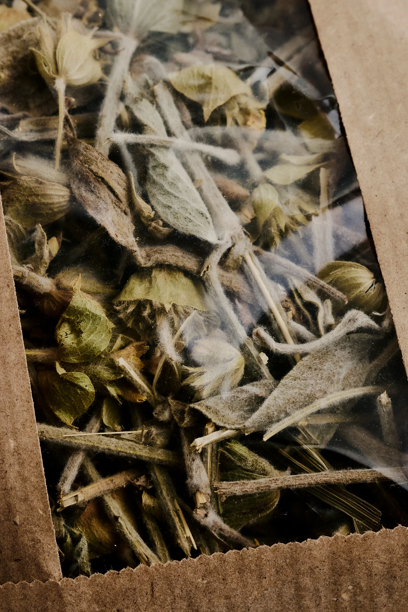 Caj Mali Mountain tea - Image 3