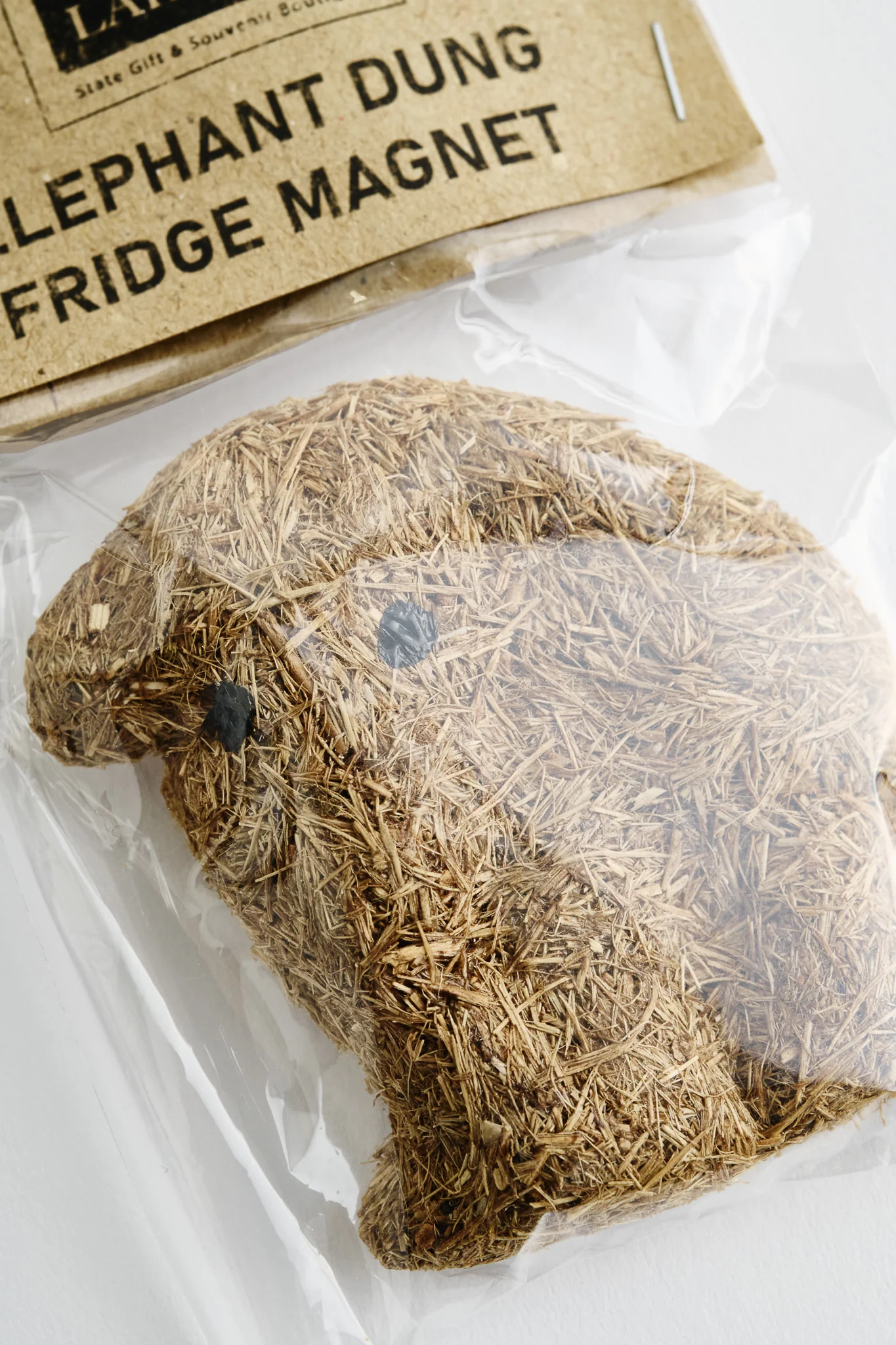 Elephant Dung Magnet - Image 2