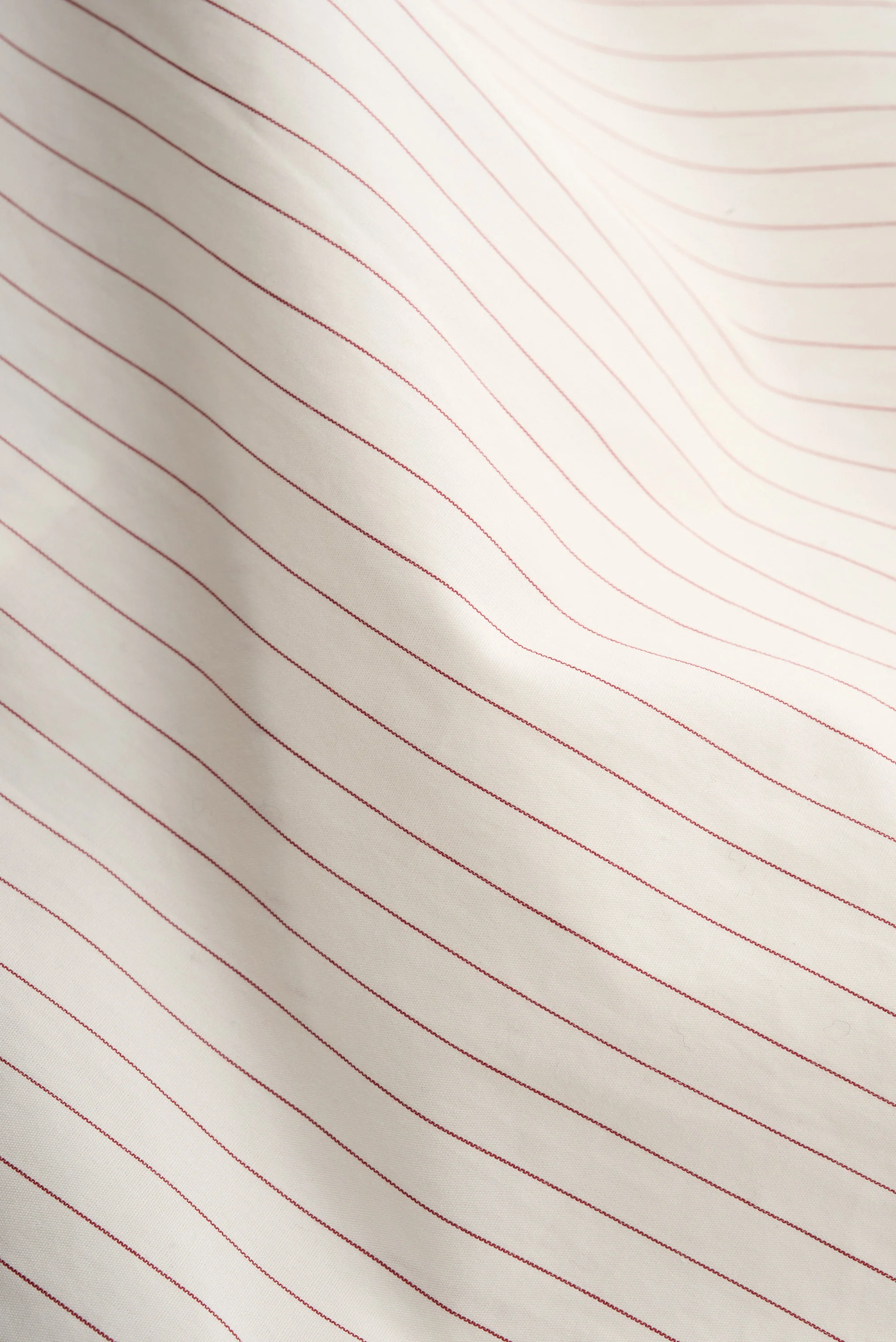 GUSTO SHIRT - Image 3