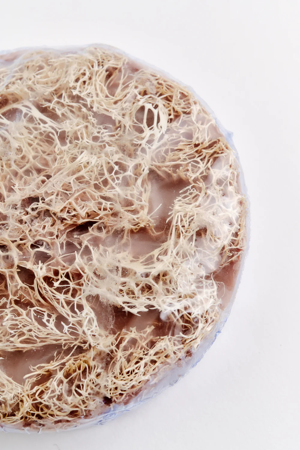 LOOFAH SPONGE - Image 3