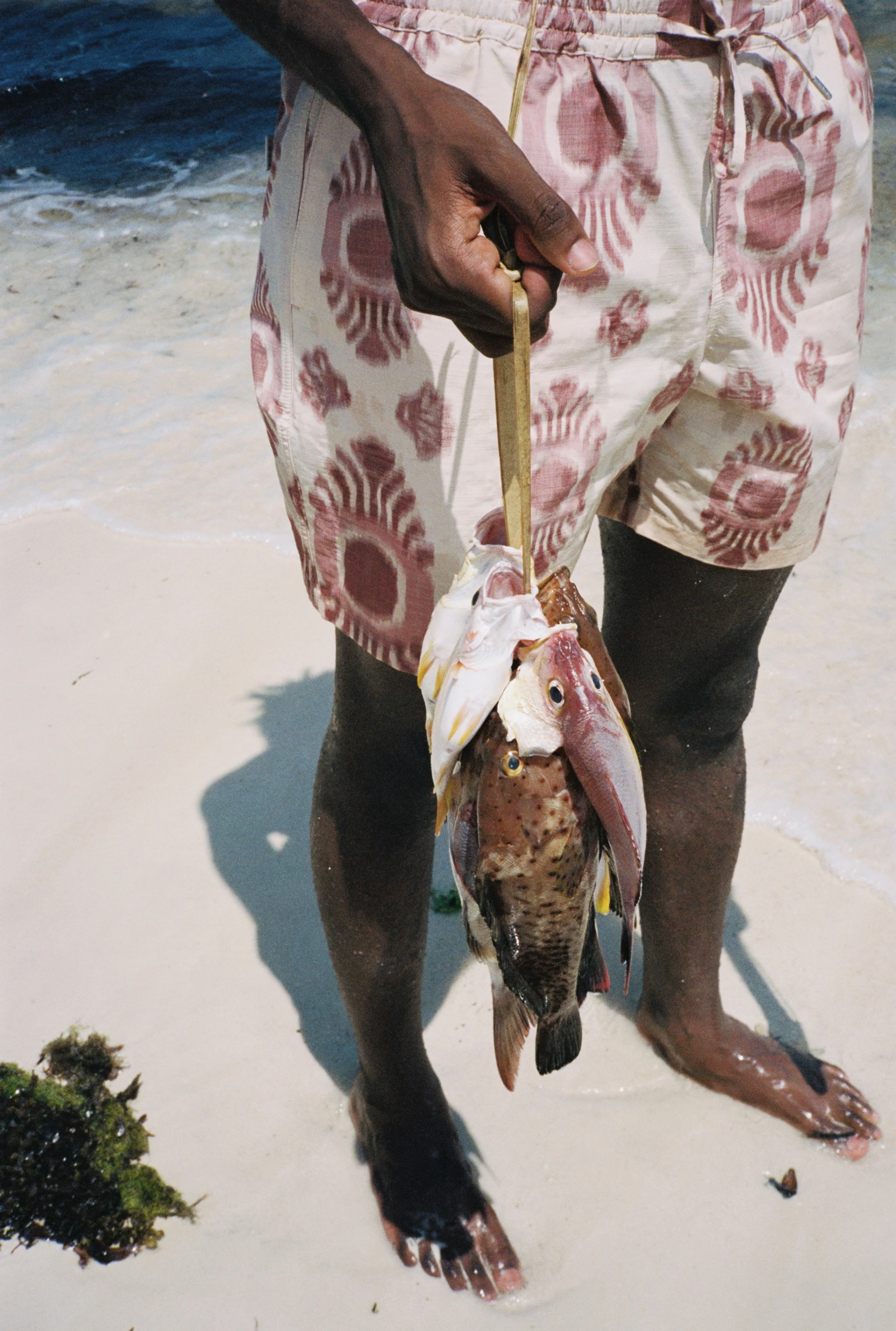 VOLTA SHORTS - Image 8